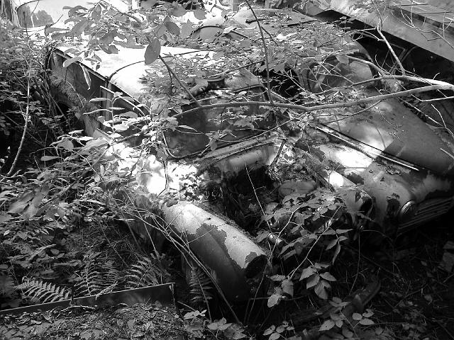 Autofriedhof - 015.JPG - Historischer Autofriedhof,    Gürbetal (CH)